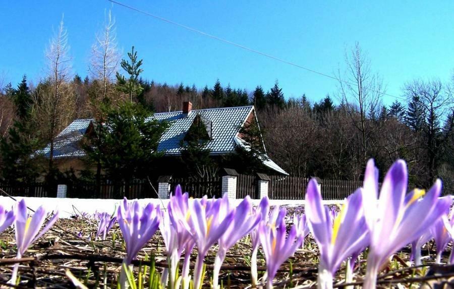 Goralska Czarcia Chata Pod Jalowcem ستريشافا المظهر الخارجي الصورة